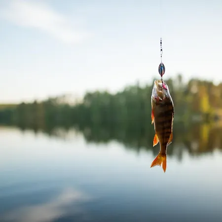 Casa de Férias Putkola Finland