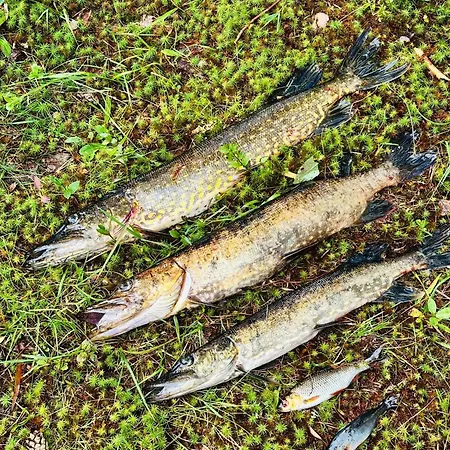 Putkola Finland Imatra