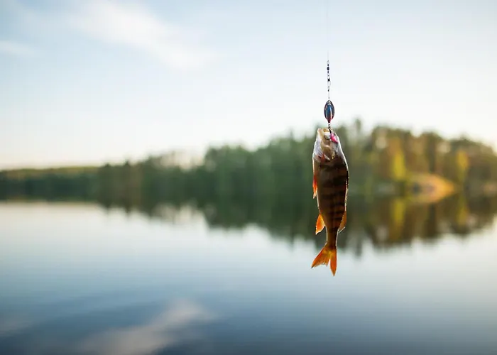 펜션 Putkola Finland